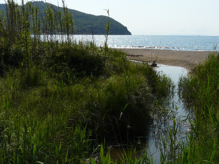 I fossi e lo stagno di Baratti (Piombino - LI)